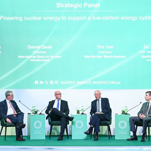 High cost of nuclear threatens its place in the new energy mix